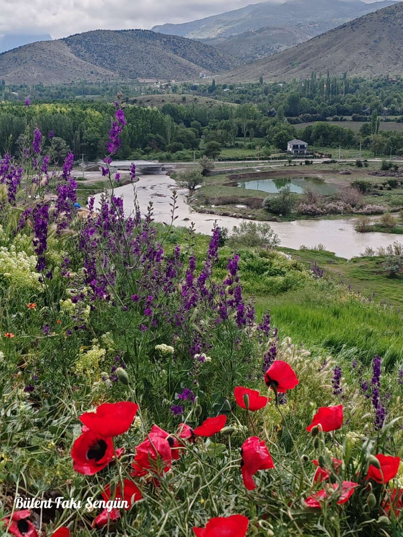 Konya’da geçen yıl yok olan göl yeniden coştu! Son 6 yılın en yüksek seviyesinde 6